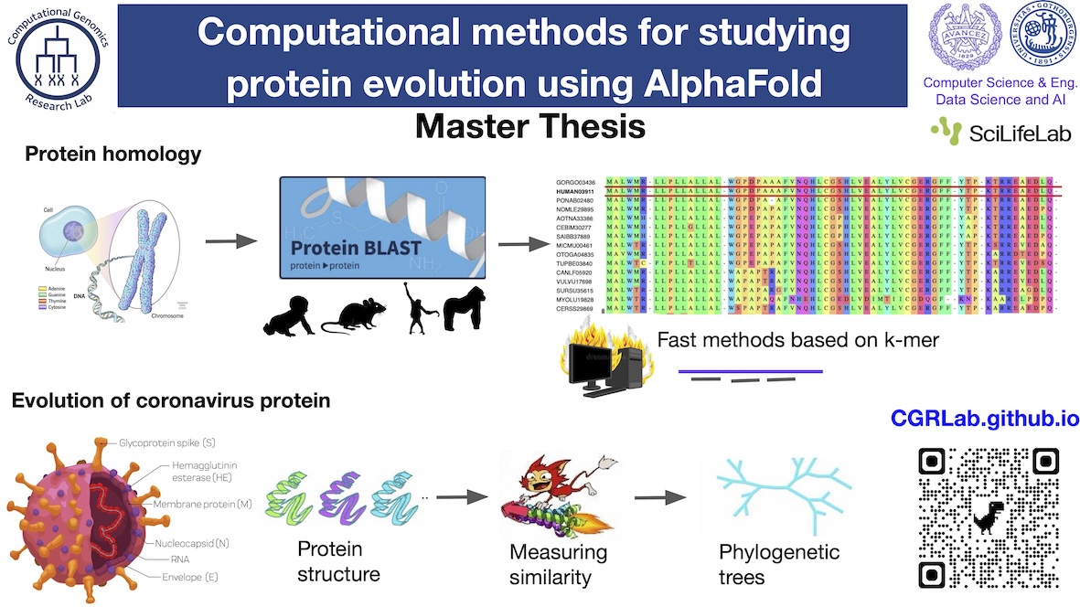 Master Project on protein structure